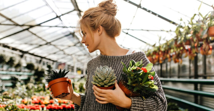 Cómo elegir la planta adecuada: lo que pocos te cuentan