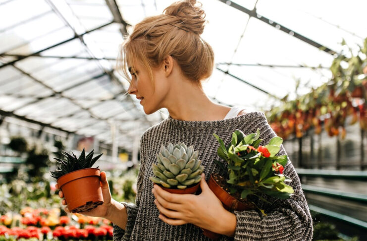 Cómo elegir la planta adecuada: lo que pocos te cuentan