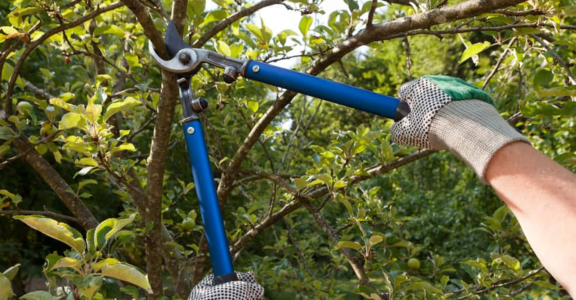 Temporada de reposo: la mejor ventana general