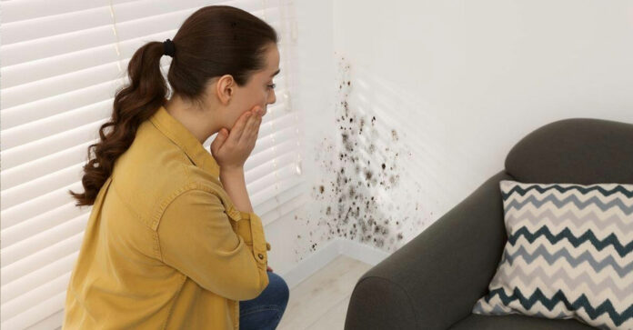 ¿Cuáles son señales para identificar la humedad?