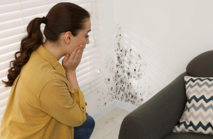 ¿Cuáles son señales para identificar la humedad?