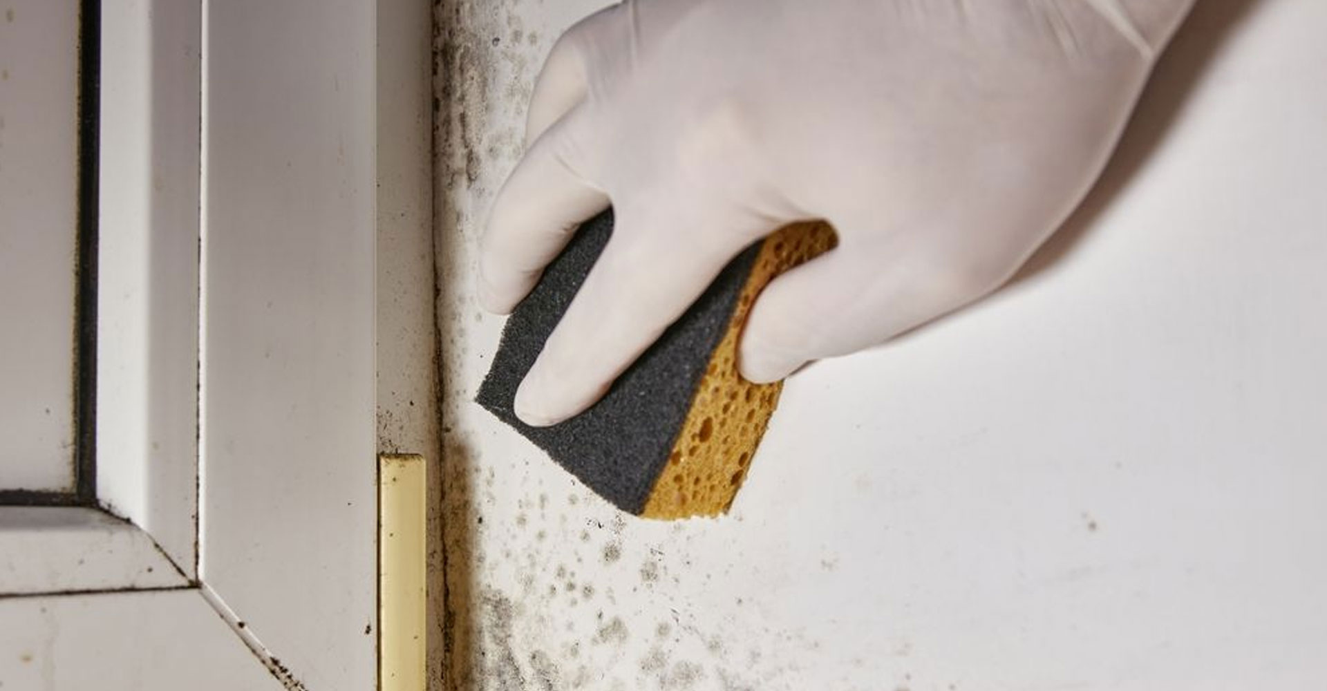 Malestar físico y manifestaciones alérgicas