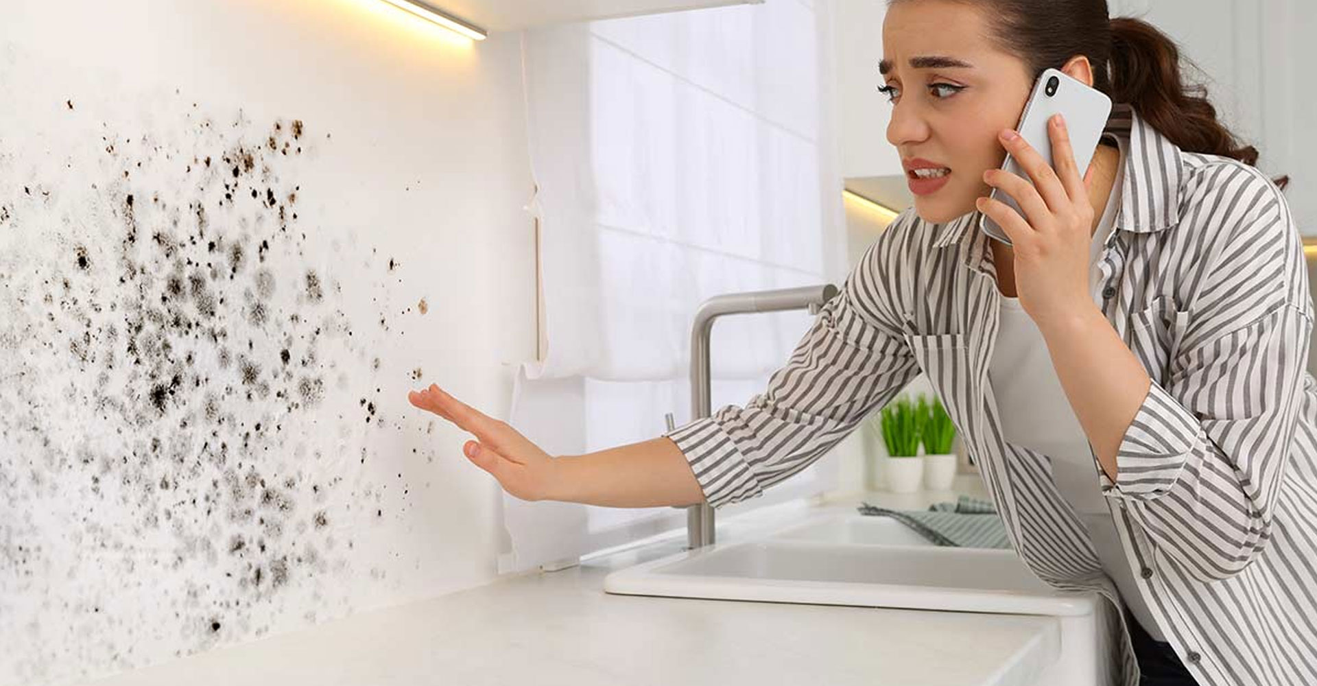 Manchas, moho y olores: guía técnica para identificar problemas de humedad